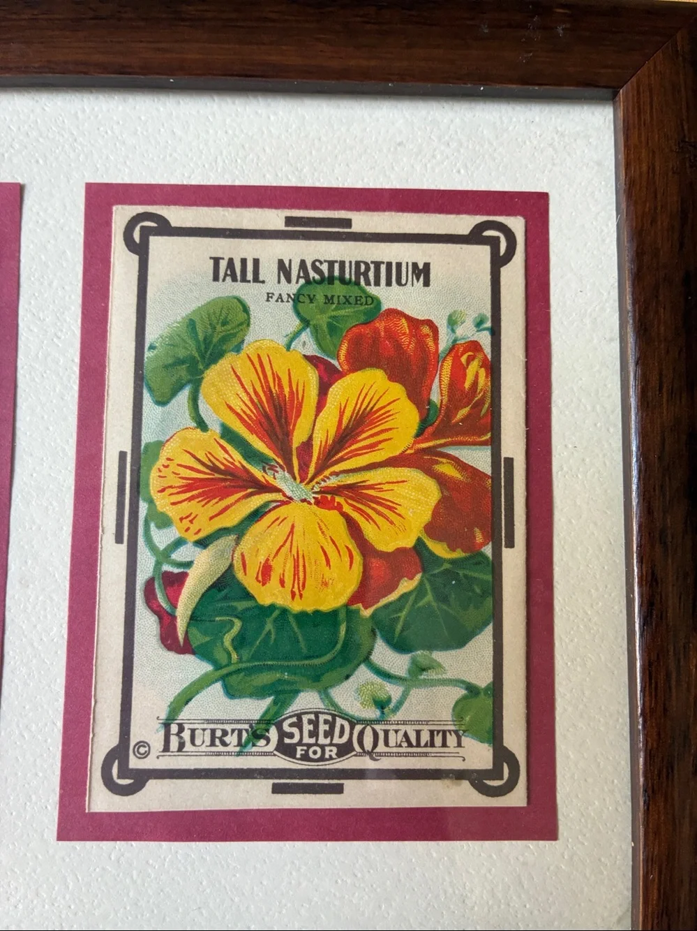 Vintage Burt’s Seed Packet Wall Art | Framed Botanical Kitchen Decor | Cottage